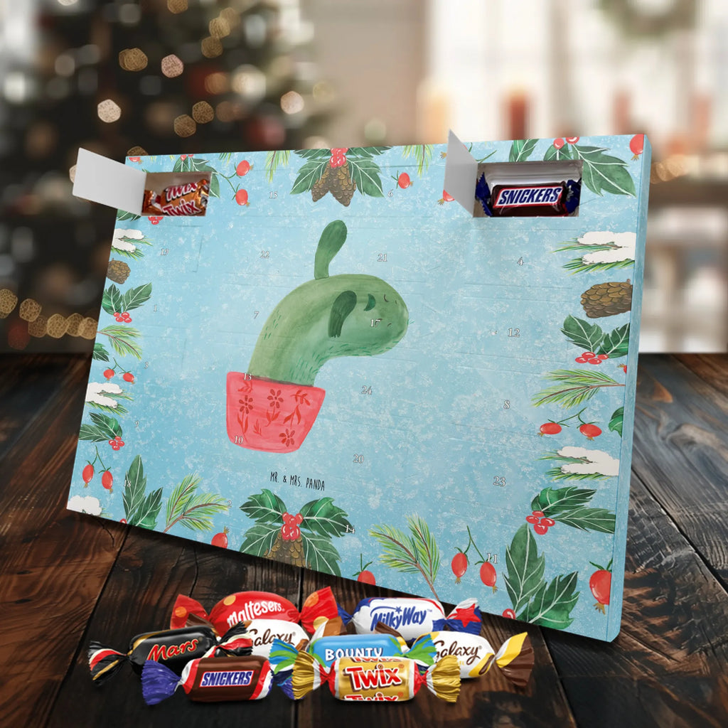 Chocolate advent calendar cactus mummy cactus, cactuses, plants, small green cactus, cactus plant, cactus love, cacti, office life, school, quota, annoyance