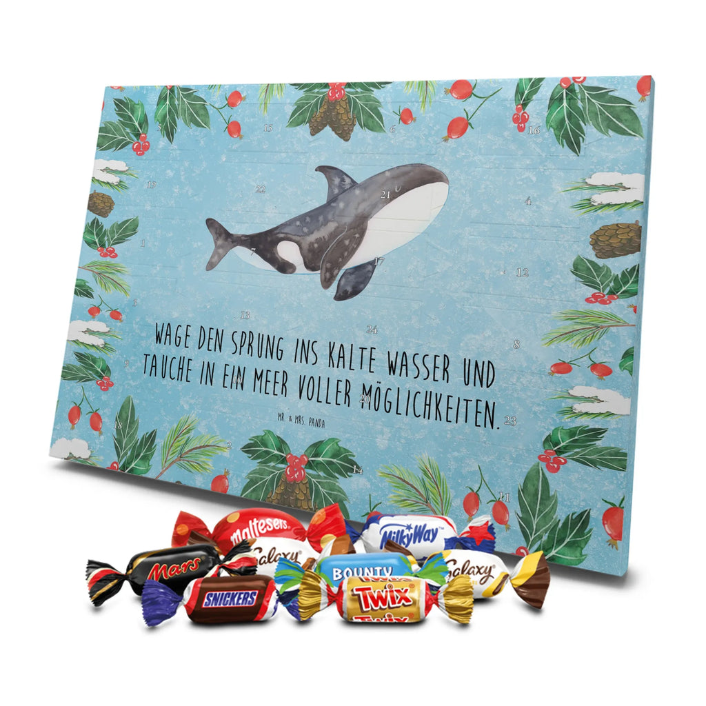 Chocolate advent calendar Orca manatee, vacation, aquatic animals, deep sea, underwater animals, seafood fans, underwater world, seafood posters, seafood decoration, whale, reef, water world, lobster, sea urchin, gift ideas, shrimp, narwhal, corals, gifts for seafood lovers, platypus, crocodile, shells, Seafood, ocean, self-love, new start, work, killer whale, opportunities