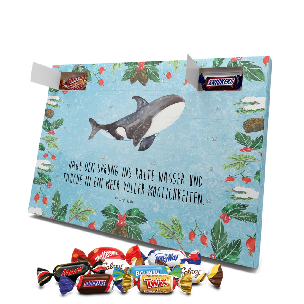 Chocolate advent calendar Orca manatee, vacation, aquatic animals, deep sea, underwater animals, seafood fans, underwater world, seafood posters, seafood decoration, whale, reef, water world, lobster, sea urchin, gift ideas, shrimp, narwhal, corals, gifts for seafood lovers, platypus, crocodile, shells, Seafood, ocean, self-love, new start, work, killer whale, opportunities