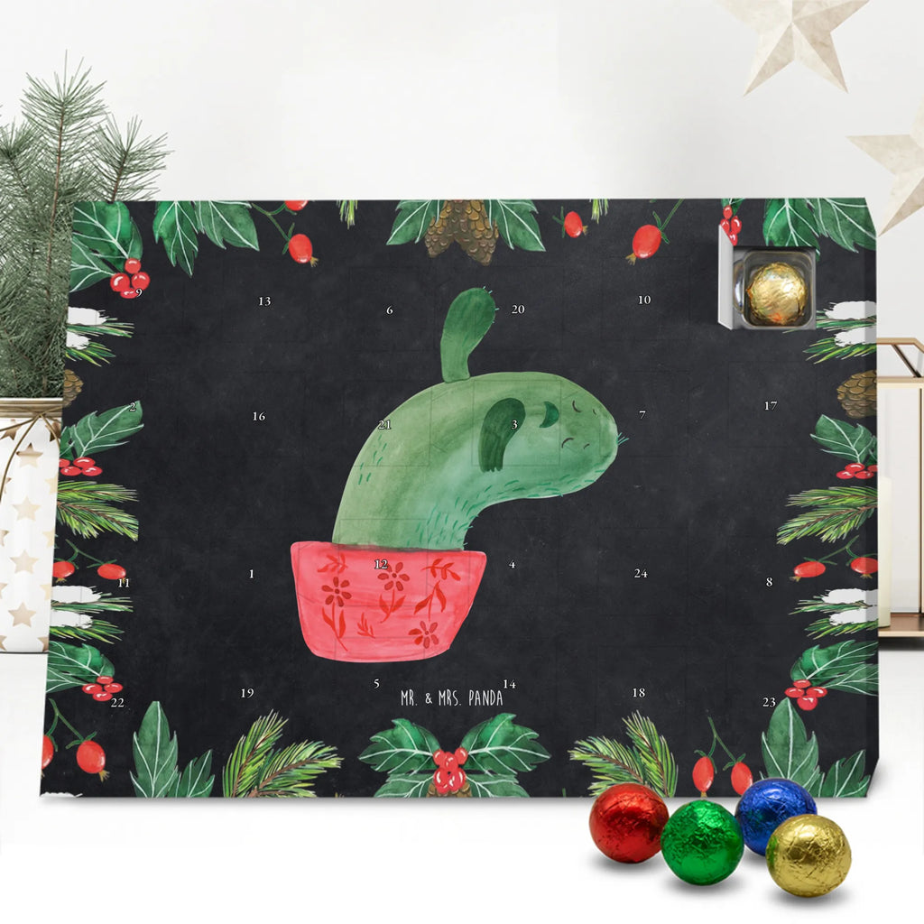 Chocolate advent calendar cactus mummy cactus, cactuses, plants, small green cactus, cactus plant, cactus love, cacti, office life, school, quota, annoyance