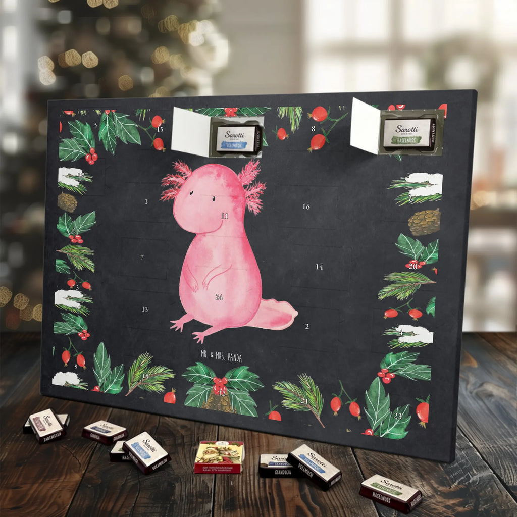 Chocolate advent calendar axolotl zero Mexican walking fish, Axelotl, marine animals, salamander, lifestyle, girlfriend, cheerful, contented, worldly wisdom, wisdom