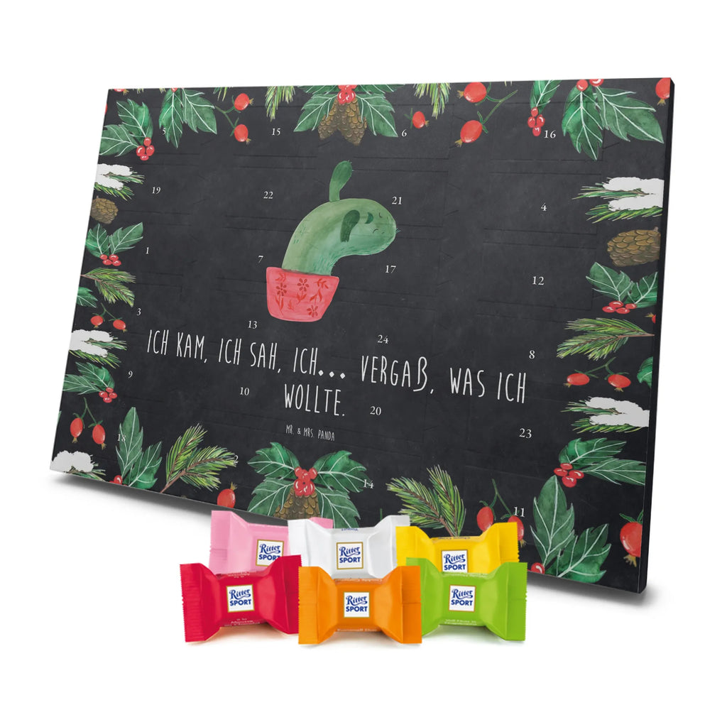 Chocolate advent calendar cactus mummy cactus, cactuses, plants, small green cactus, cactus plant, cactus love, cacti, office life, school, quota, annoyance