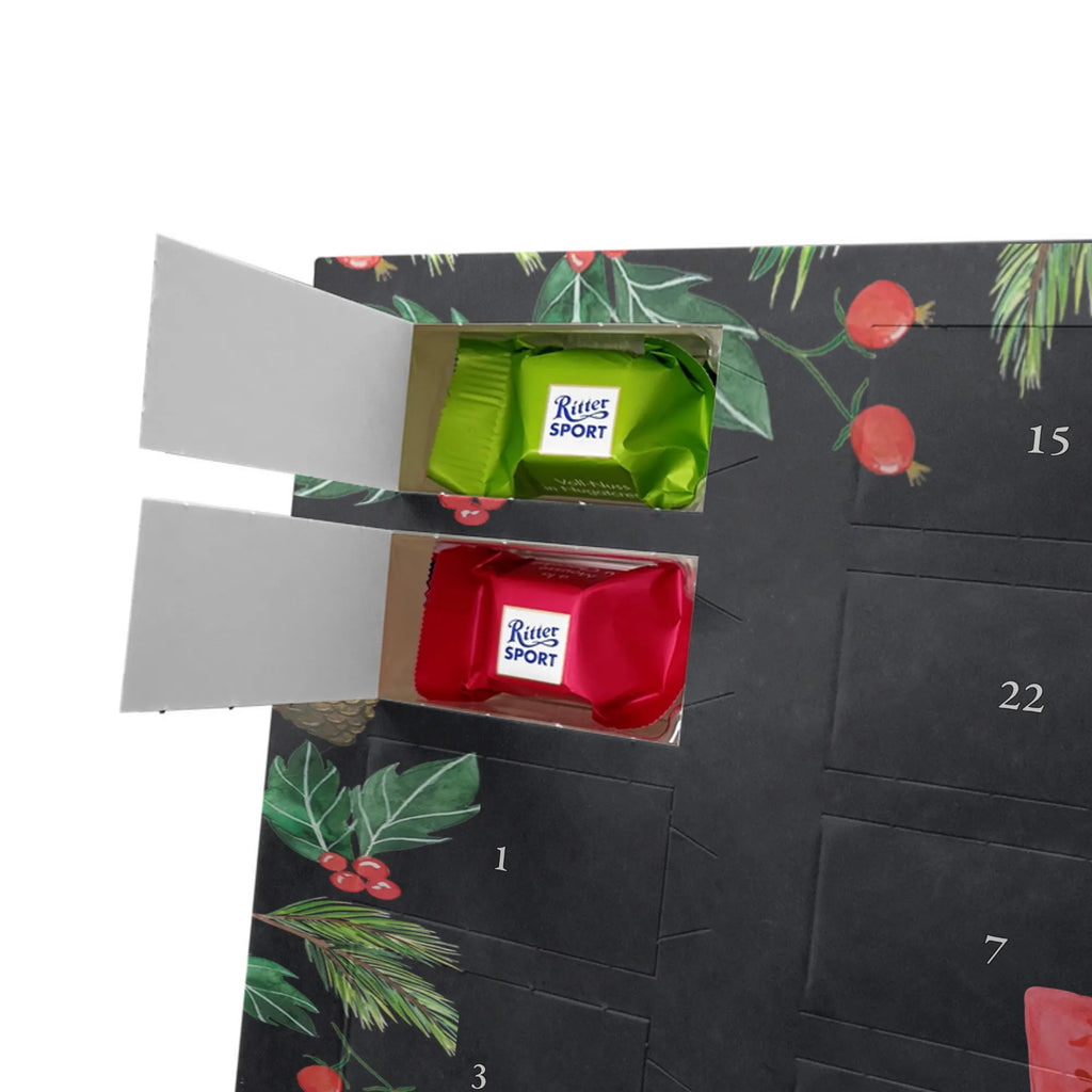 Chocolate advent calendar cactus mummy cactus, cactuses, plants, small green cactus, cactus plant, cactus love, cacti, office life, school, quota, annoyance