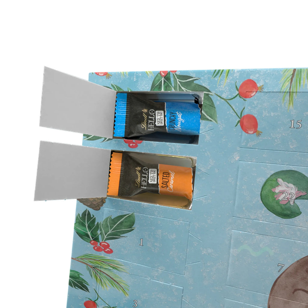  wydra lilia wodna Kuna, morska wydra, wydra