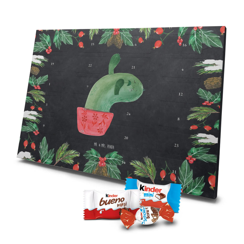 Chocolate advent calendar cactus mummy cactus, cactuses, plants, small green cactus, cactus plant, cactus love, cacti, office life, school, quota, annoyance