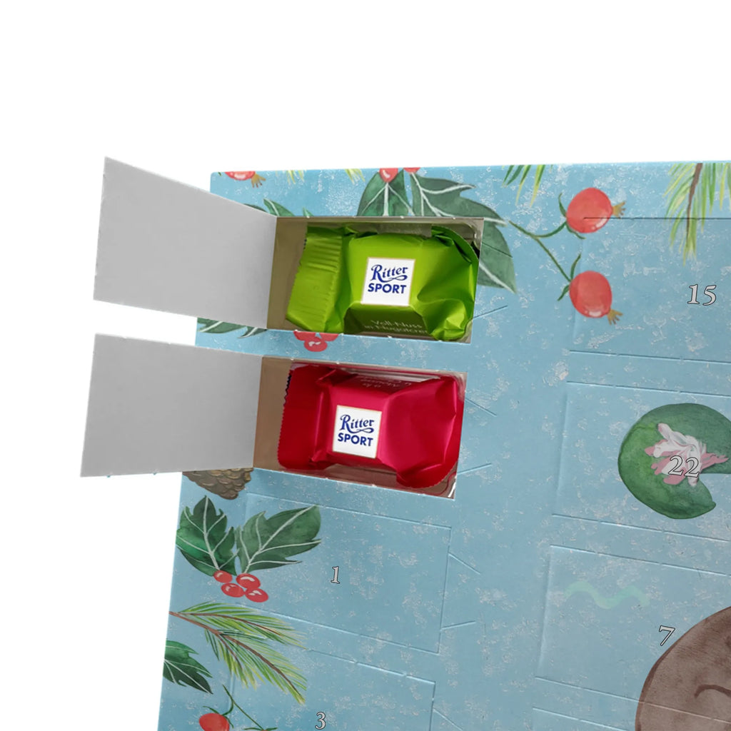 adventskalender süßigkeiten Otter Seerose Adventskalender Schokolade, süßigkeiten kalender, Schoko Adventskalender, Weihnachten Adventskalender, Adventskalender, schokoladenkalender, adventskalender pralinen, pralinen adventskalender, Schokoladen-Weihnachtskalender, kalender schokolade, adventskalender schoko, Schoko-Adventskalender, Weihnachts Kalender, Weihnachtskalender Schokolade, Schokoladen-Adventskalender, Schokoladen Adventskalender, weihnachtskalender schoko, schokolade adventskalender, Weihnachtskalender, süßigkeiten adventskalender, adventskalender süßigkeiten, schokokalender, kalender weihnachten, schokoladen kalender, schoko kalender, schoko weihnachtskalender, Seeotter, Fischotter, Otter, Otter Seeotter See Otter