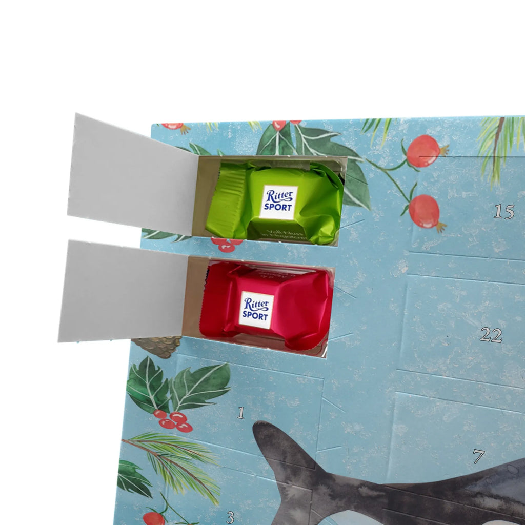 Chocolate advent calendar Orca manatee, vacation, aquatic animals, deep sea, underwater animals, seafood fans, underwater world, seafood posters, seafood decoration, whale, reef, water world, lobster, sea urchin, gift ideas, shrimp, narwhal, corals, gifts for seafood lovers, platypus, crocodile, shells, Seafood, ocean, self-love, new start, work, killer whale, opportunities