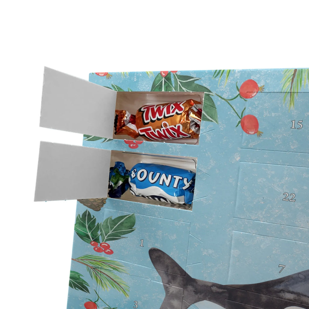 Chocolate advent calendar Orca manatee, vacation, aquatic animals, deep sea, underwater animals, seafood fans, underwater world, seafood posters, seafood decoration, whale, reef, water world, lobster, sea urchin, gift ideas, shrimp, narwhal, corals, gifts for seafood lovers, platypus, crocodile, shells, Seafood, ocean, self-love, new start, work, killer whale, opportunities