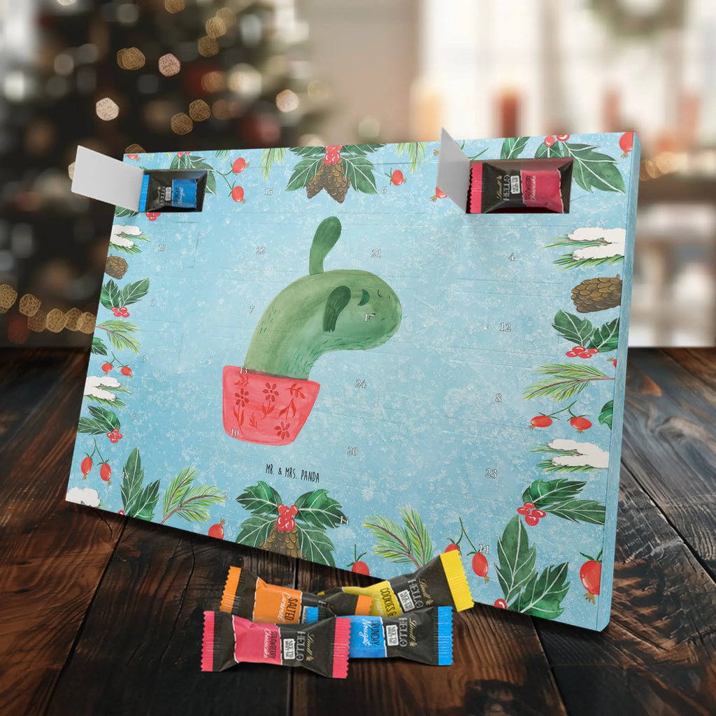 Chocolate advent calendar cactus mummy cactus, cactuses, plants, small green cactus, cactus plant, cactus love, cacti, office life, school, quota, annoyance