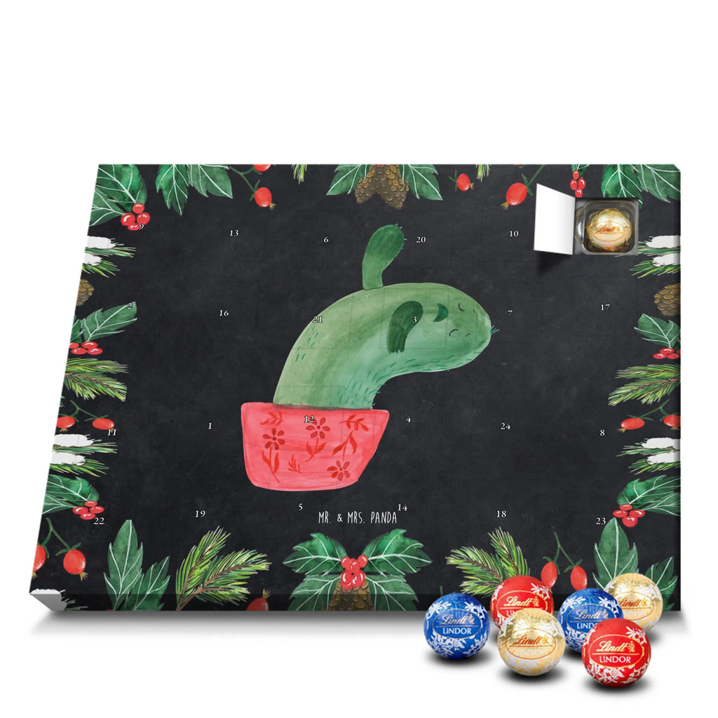 Chocolate advent calendar cactus mummy cactus, cactuses, plants, small green cactus, cactus plant, cactus love, cacti, office life, school, quota, annoyance