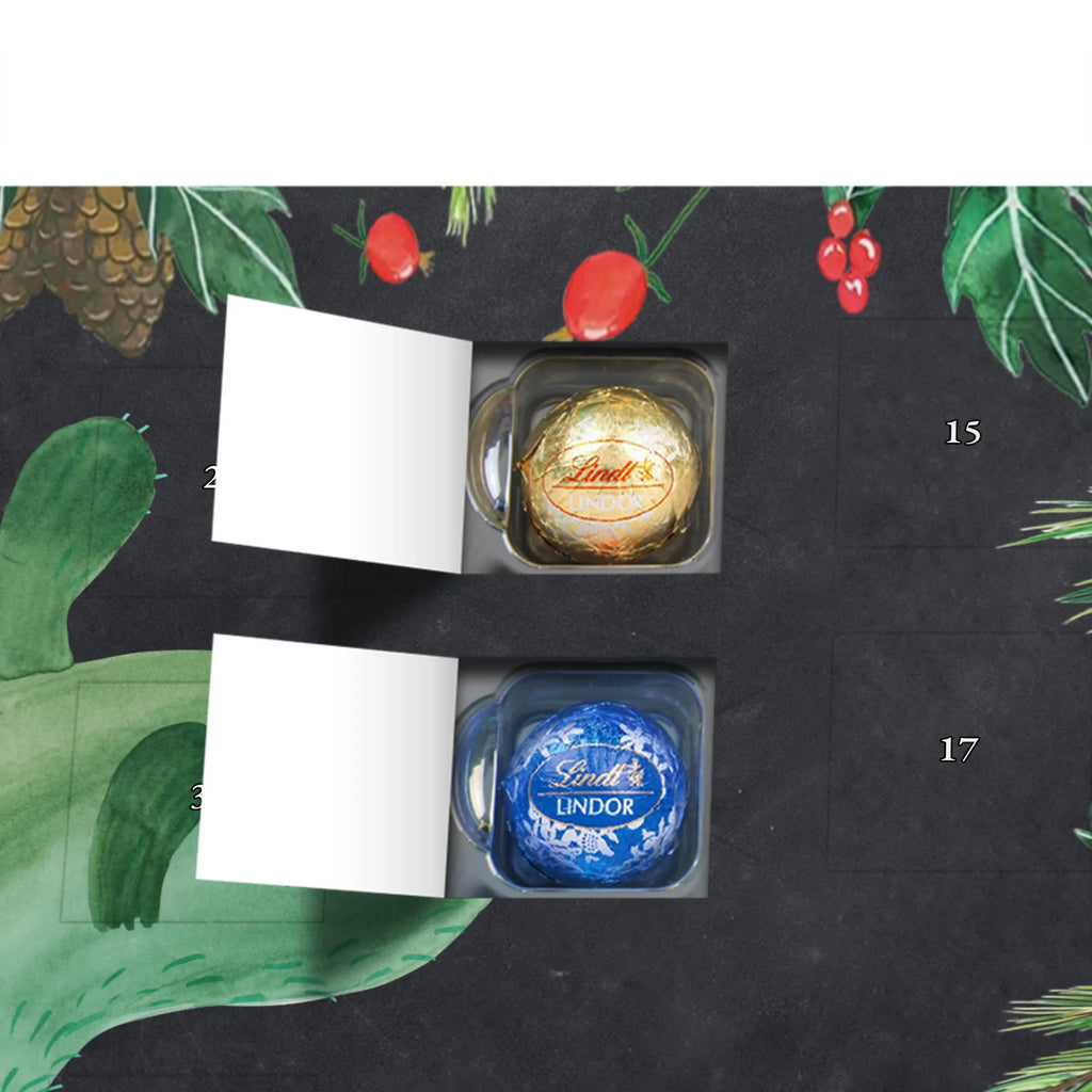 Chocolate advent calendar cactus mummy cactus, cactuses, plants, small green cactus, cactus plant, cactus love, cacti, office life, school, quota, annoyance