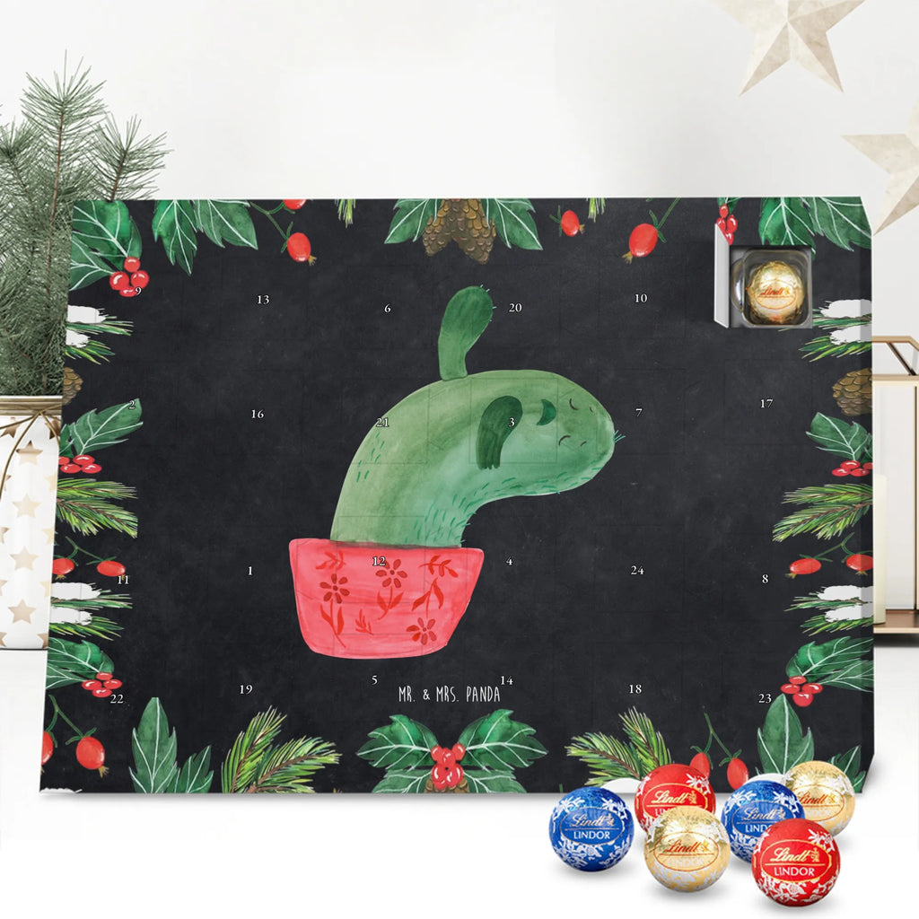 Chocolate advent calendar cactus mummy cactus, cactuses, plants, small green cactus, cactus plant, cactus love, cacti, office life, school, quota, annoyance