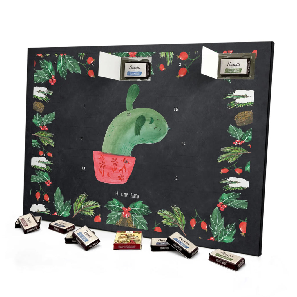Chocolate advent calendar cactus mummy cactus, cactuses, plants, small green cactus, cactus plant, cactus love, cacti, office life, school, quota, annoyance
