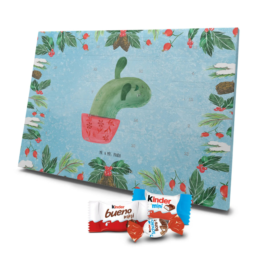 Chocolate advent calendar cactus mummy cactus, cactuses, plants, small green cactus, cactus plant, cactus love, cacti, office life, school, quota, annoyance