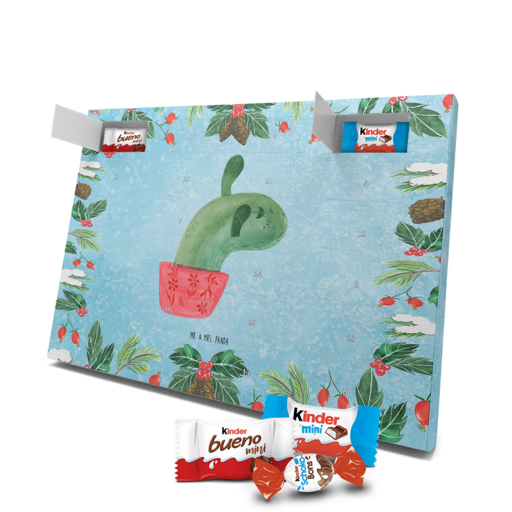 Chocolate advent calendar cactus mummy cactus, cactuses, plants, small green cactus, cactus plant, cactus love, cacti, office life, school, quota, annoyance