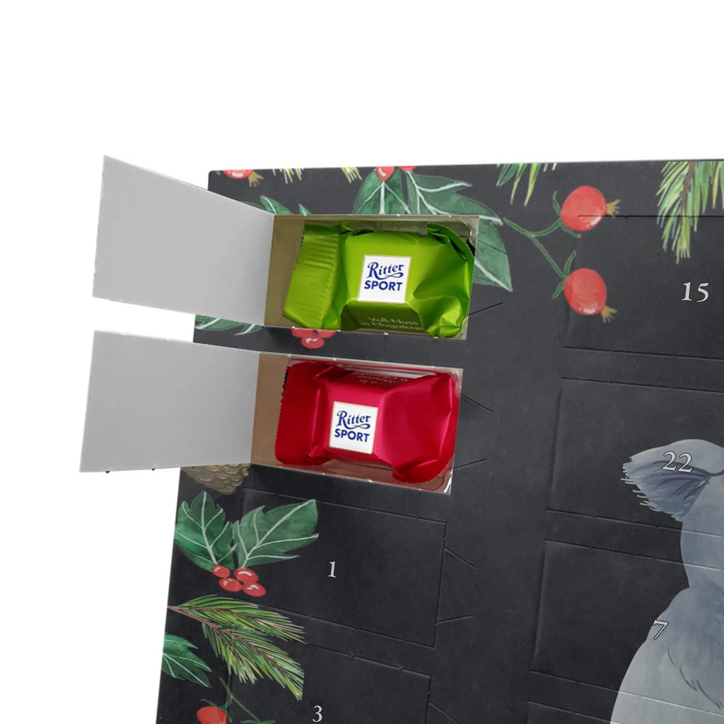 Chocolate advent calendar koala gift ideas, gifts, small animals, good mood, cute, funny sayings, cute animal motives, hand drawn, special gifts, card, animal lover, dream, bedroom, dreamland, sleeping, koala bear