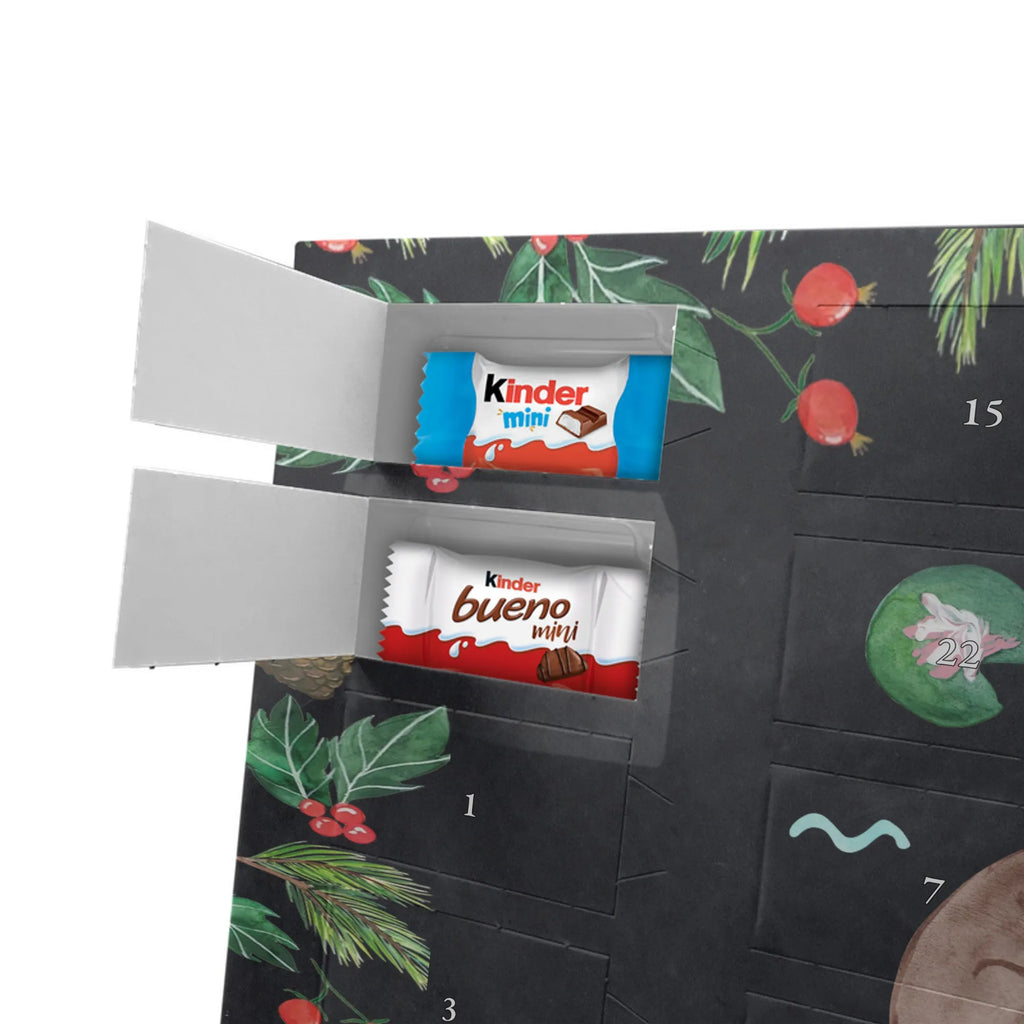  wydra lilia wodna Kuna, morska wydra, wydra