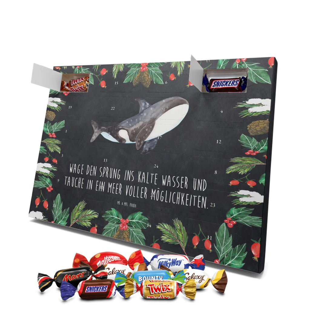 Chocolate advent calendar Orca manatee, vacation, aquatic animals, deep sea, underwater animals, seafood fans, underwater world, seafood posters, seafood decoration, whale, reef, water world, lobster, sea urchin, gift ideas, shrimp, narwhal, corals, gifts for seafood lovers, platypus, crocodile, shells, Seafood, ocean, self-love, new start, work, killer whale, opportunities