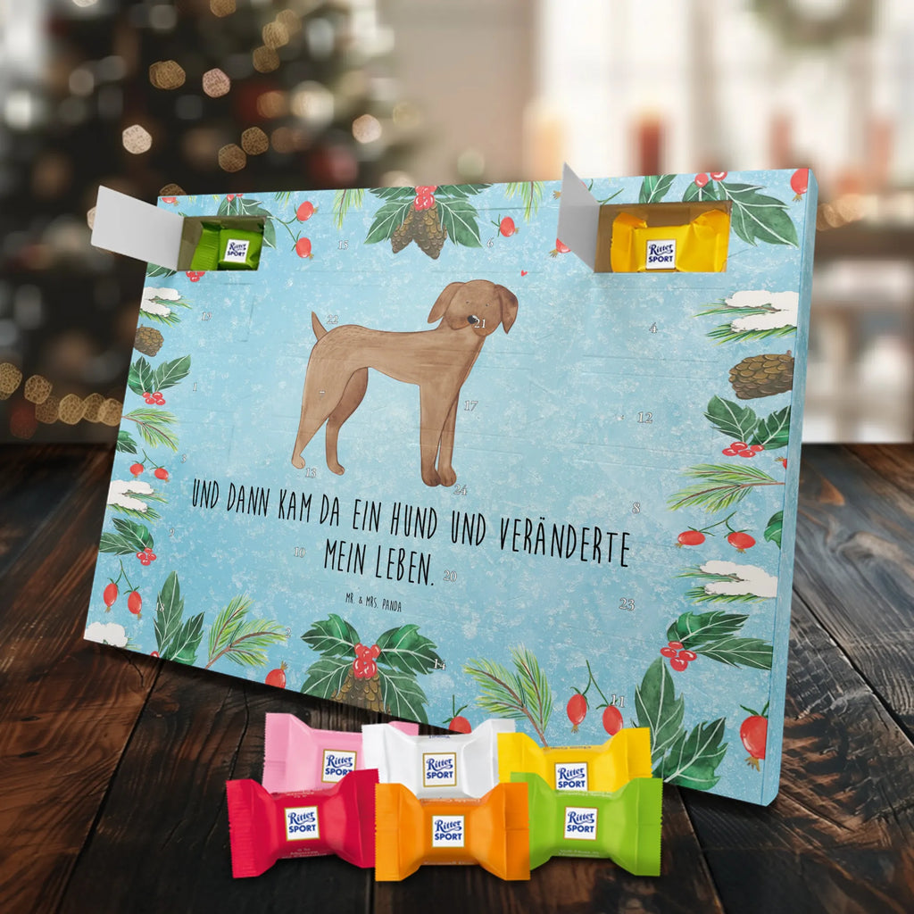 Chocolate advent calendar Dog mastiff mutt, dog sayings, love dogs, dog mama, funny gifts for dog owners, woof, what do you give a dog lover, dog breed, Christmas gifts for dogs, gifts for dogs, bag with dog print, love for dogs, hound, dog decorative items, Dogs