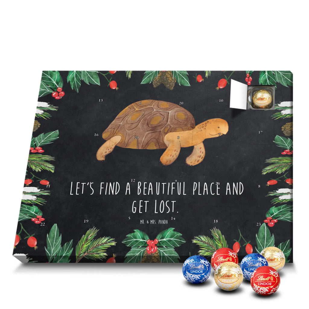 Chocolate advent calendar tortoise March manatee, vacation, aquatic animals, deep sea, underwater animals, seafood fans, underwater world, seafood posters, seafood decoration, whale, reef, water world, lobster, sea urchin, gift ideas, shrimp, narwhal, corals, gifts for seafood lovers, platypus, crocodile, shells, Seafood, ocean, adventure, new start, favourite person, turtles