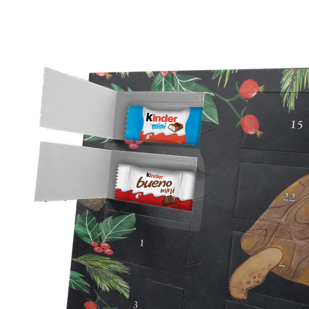 Schokoladen-Weihnachtskalender Schildkröte Marschieren Schokoladen-Weihnachtskalender, süßigkeiten kalender, weihnachtskalender schoko, adventskalender schoko, Weihnachtskalender, pralinen adventskalender, Schoko-Adventskalender, süßigkeiten adventskalender, schoko kalender, Weihnachtskalender Schokolade, schoko weihnachtskalender, schokoladen kalender, Schokoladen Adventskalender, Schokoladen-Adventskalender, kalender weihnachten, Schoko Adventskalender, Weihnachten Adventskalender, schokolade adventskalender, Adventskalender, kalender schokolade, adventskalender pralinen, Weihnachts Kalender, adventskalender süßigkeiten, Adventskalender Schokolade, schokoladenkalender, schokokalender, Urlaub, Meer, Meerestiere, Lieblingsmensch, Inspiration, Neustart, Get Lost, Schildkröten, Abenteuer, Reiselust, Motivation, Schildkröte