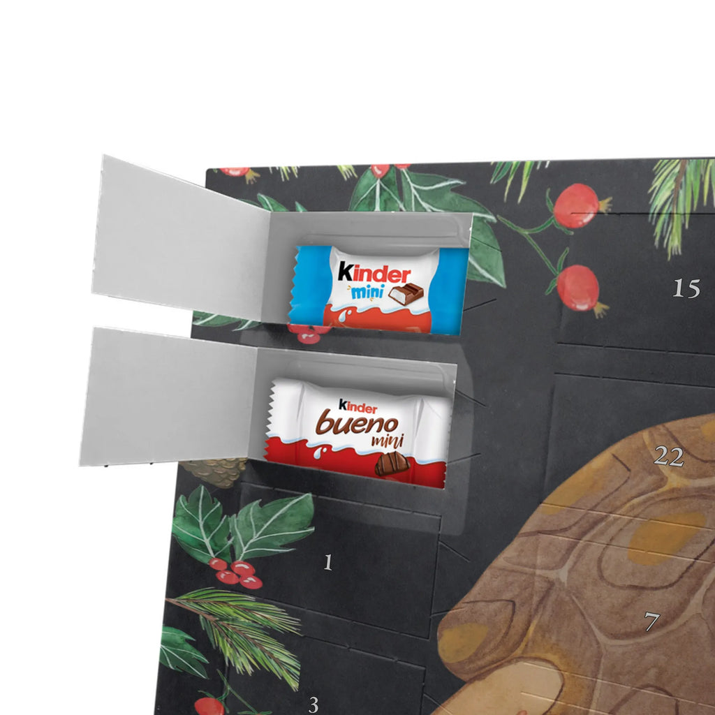 Chocolate advent calendar tortoise March manatee, vacation, aquatic animals, deep sea, underwater animals, seafood fans, underwater world, seafood posters, seafood decoration, whale, reef, water world, lobster, sea urchin, gift ideas, shrimp, narwhal, corals, gifts for seafood lovers, platypus, crocodile, shells, Seafood, ocean, adventure, new start, favourite person, turtles