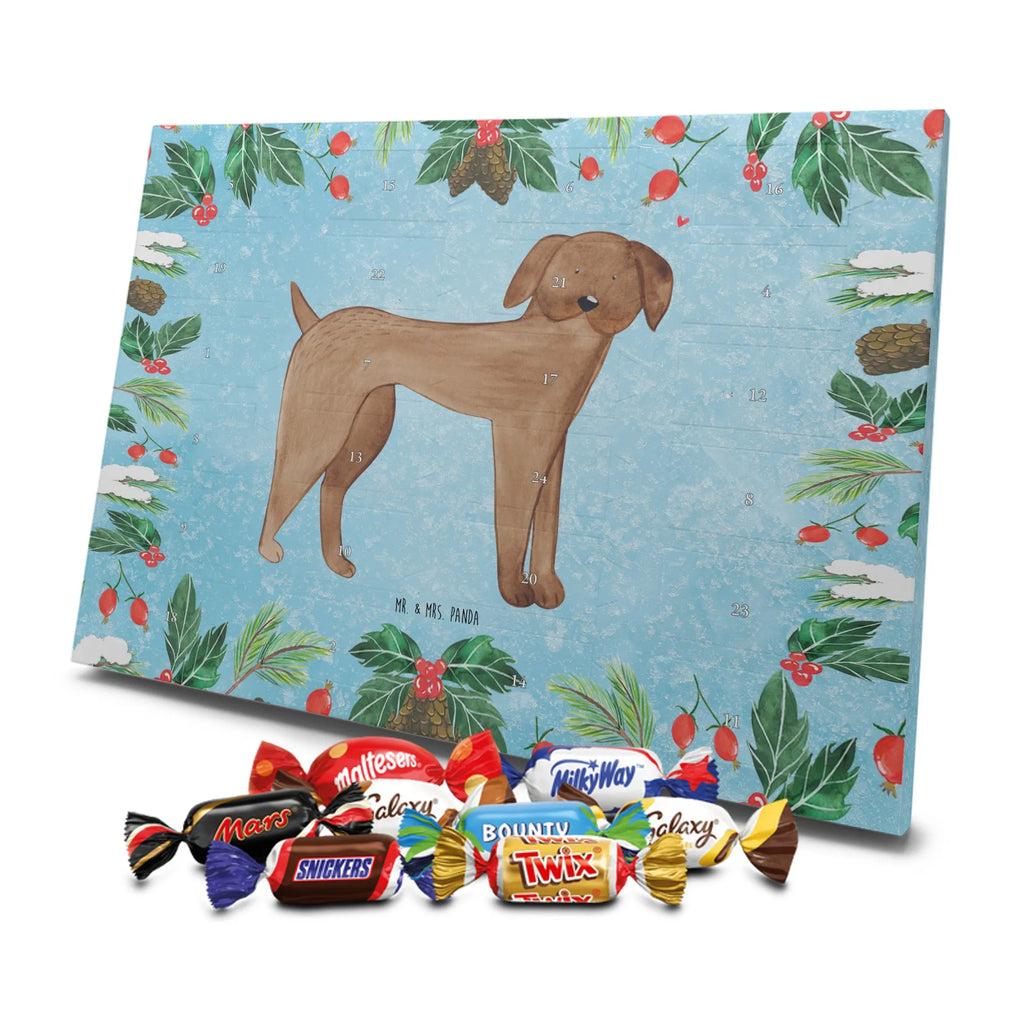 Chocolate advent calendar Dog mastiff mutt, dog sayings, love dogs, dog mama, funny gifts for dog owners, woof, what do you give a dog lover, dog breed, Christmas gifts for dogs, gifts for dogs, bag with dog print, love for dogs, hound, dog decorative items, Dogs
