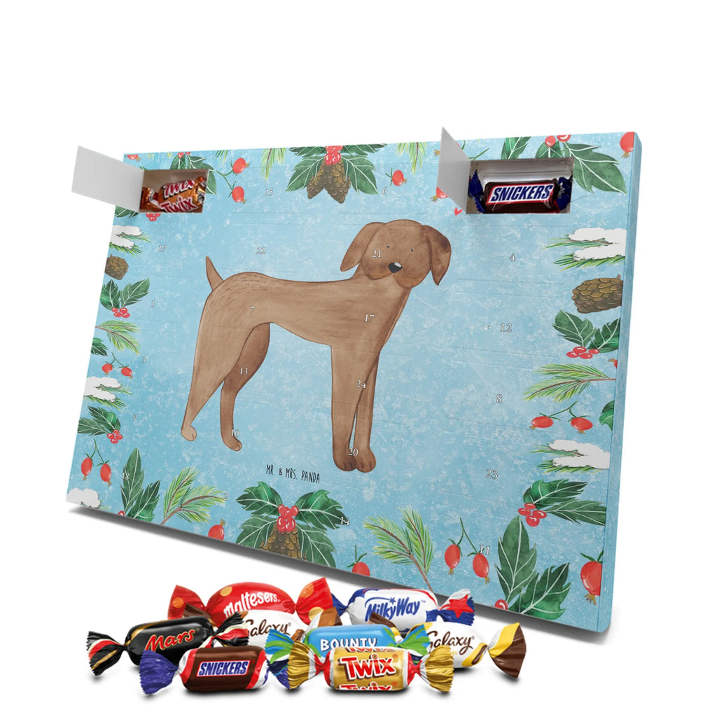 Chocolate advent calendar Dog mastiff mutt, dog sayings, love dogs, dog mama, funny gifts for dog owners, woof, what do you give a dog lover, dog breed, Christmas gifts for dogs, gifts for dogs, bag with dog print, love for dogs, hound, dog decorative items, Dogs