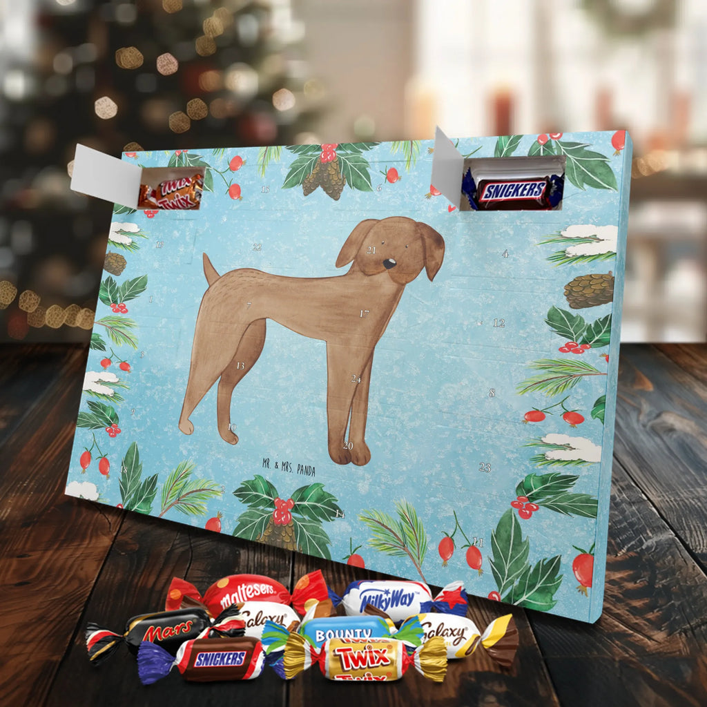 Chocolate advent calendar Dog mastiff mutt, dog sayings, love dogs, dog mama, funny gifts for dog owners, woof, what do you give a dog lover, dog breed, Christmas gifts for dogs, gifts for dogs, bag with dog print, love for dogs, hound, dog decorative items, Dogs