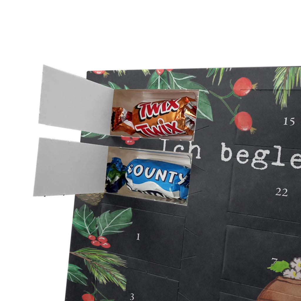 Adventskalender Bestatter Leidenschaft kalender schokolade, advent kalender, süßigkeiten adventskalender, schoko kalender, Weihnachtskalender Schokolade, adventskalender mit pralinen, schokoladenkalender, süßigkeiten kalender, Weihnachtskalender, Adventskalender, Schoko Adventskalender, weihnachtskalender schoko, Adventskalender Schokolade, pralinen adventskalender, schokoladen kalender, schokolade adventskalender, Schokoladen Adventskalender, adventskalender mit süßigkeiten, schokokalender, adventskalender süßigkeiten, adventskalender pralinen, adventskalender mit schokolade, schoko weihnachtskalender, Arbeitskollege, Kollegin, Beruf, Kollege, Ausbildung, Rente, Abschied, Jubiläum, Schenken, Geschenk, Danke, Dankeschön, Firma, Mitarbeiter
