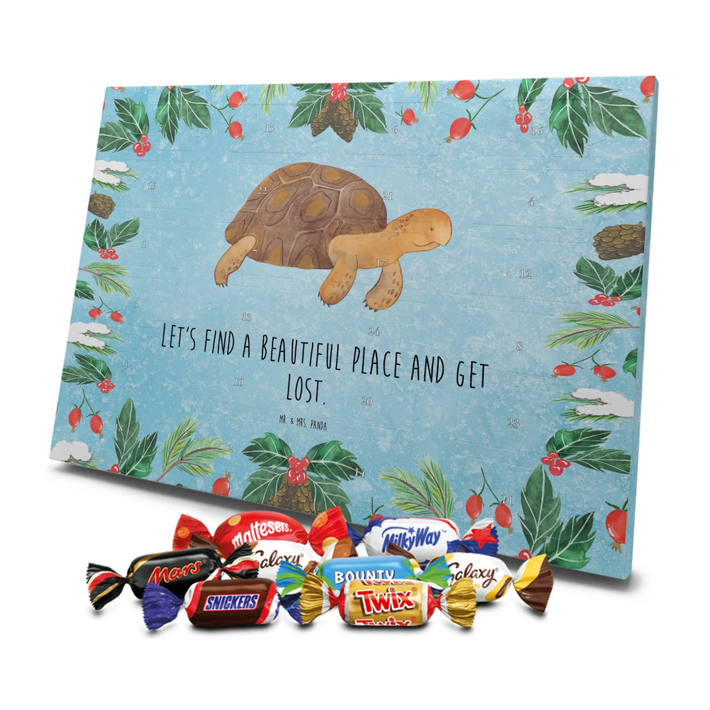 Chocolate advent calendar tortoise March manatee, vacation, aquatic animals, deep sea, underwater animals, seafood fans, underwater world, seafood posters, seafood decoration, whale, reef, water world, lobster, sea urchin, gift ideas, shrimp, narwhal, corals, gifts for seafood lovers, platypus, crocodile, shells, Seafood, ocean, adventure, new start, favourite person, turtles