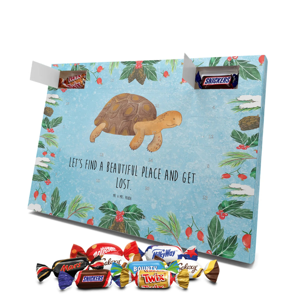 Chocolate advent calendar tortoise March manatee, vacation, aquatic animals, deep sea, underwater animals, seafood fans, underwater world, seafood posters, seafood decoration, whale, reef, water world, lobster, sea urchin, gift ideas, shrimp, narwhal, corals, gifts for seafood lovers, platypus, crocodile, shells, Seafood, ocean, adventure, new start, favourite person, turtles