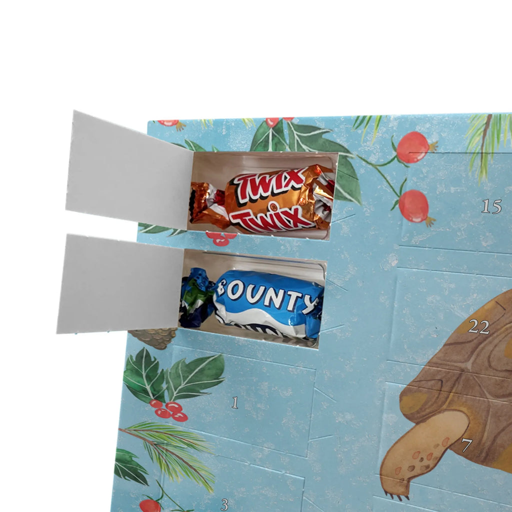 Chocolate advent calendar tortoise March manatee, vacation, aquatic animals, deep sea, underwater animals, seafood fans, underwater world, seafood posters, seafood decoration, whale, reef, water world, lobster, sea urchin, gift ideas, shrimp, narwhal, corals, gifts for seafood lovers, platypus, crocodile, shells, Seafood, ocean, adventure, new start, favourite person, turtles