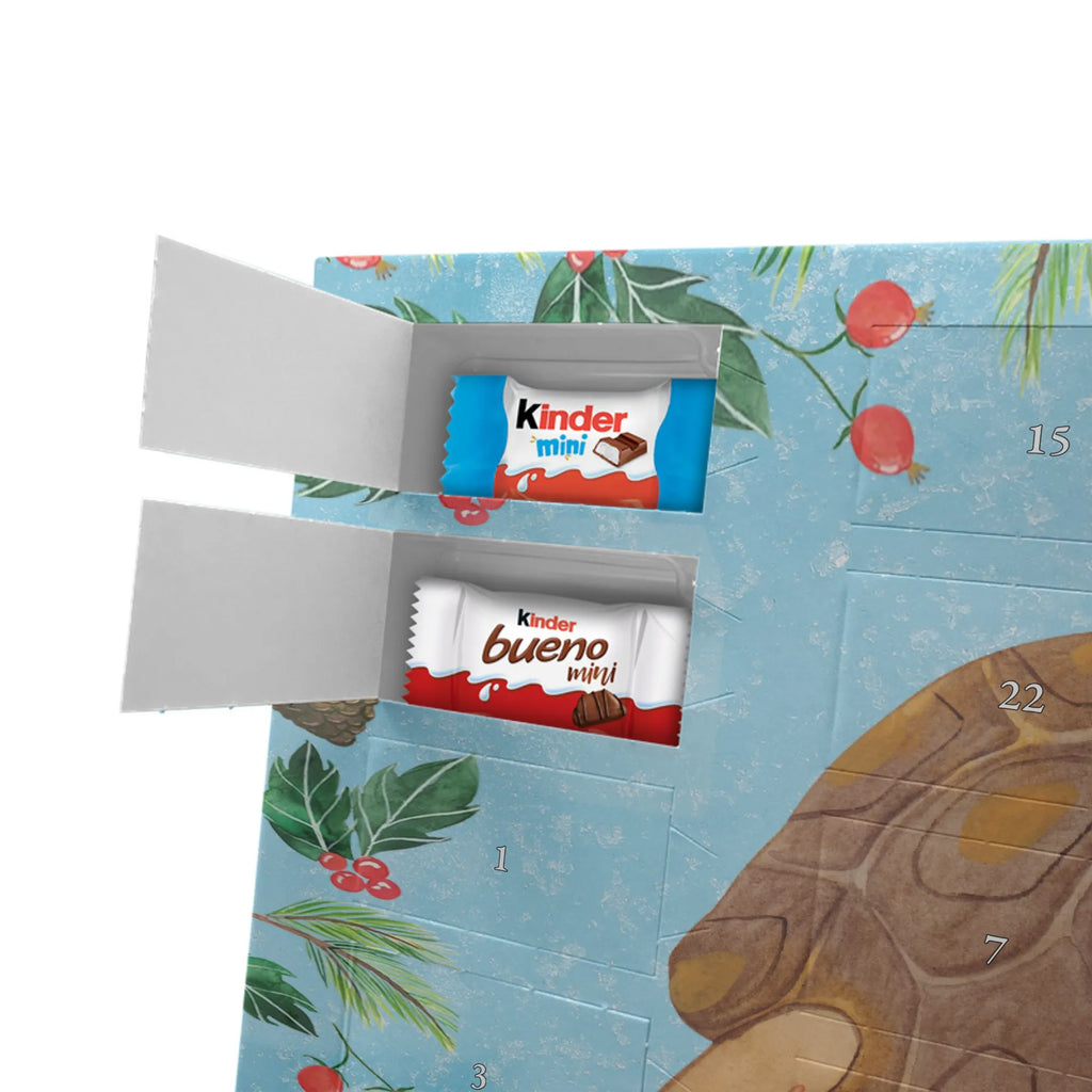Chocolate advent calendar tortoise March manatee, vacation, aquatic animals, deep sea, underwater animals, seafood fans, underwater world, seafood posters, seafood decoration, whale, reef, water world, lobster, sea urchin, gift ideas, shrimp, narwhal, corals, gifts for seafood lovers, platypus, crocodile, shells, Seafood, ocean, adventure, new start, favourite person, turtles