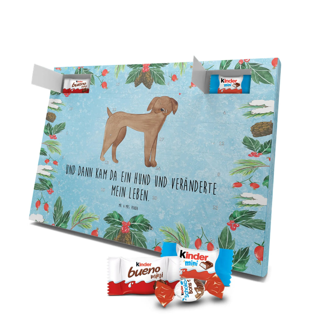 Chocolate advent calendar Dog mastiff mutt, dog sayings, love dogs, dog mama, funny gifts for dog owners, woof, what do you give a dog lover, dog breed, Christmas gifts for dogs, gifts for dogs, bag with dog print, love for dogs, hound, dog decorative items, Dogs