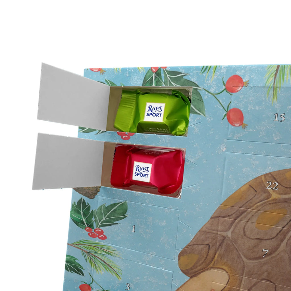 Chocolate advent calendar tortoise March manatee, vacation, aquatic animals, deep sea, underwater animals, seafood fans, underwater world, seafood posters, seafood decoration, whale, reef, water world, lobster, sea urchin, gift ideas, shrimp, narwhal, corals, gifts for seafood lovers, platypus, crocodile, shells, Seafood, ocean, adventure, new start, favourite person, turtles