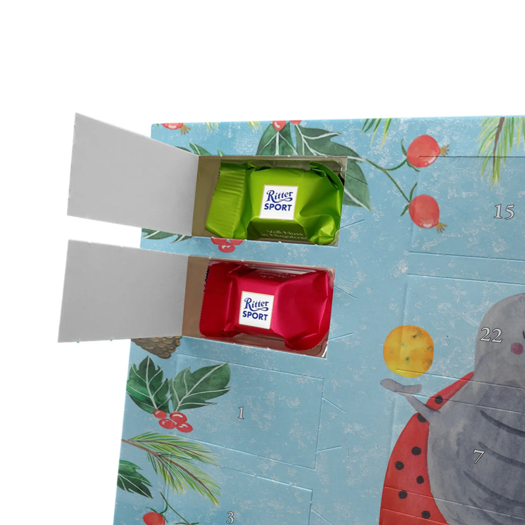 Chocolate advent calendar Star sign twin birthdays, astrology, date of birth, month of birth, constellations, twin gift, gift june, birthday may, twins, twin sister, twin brother, ladybird, gift may, lucky beetle, twin zodiac sign