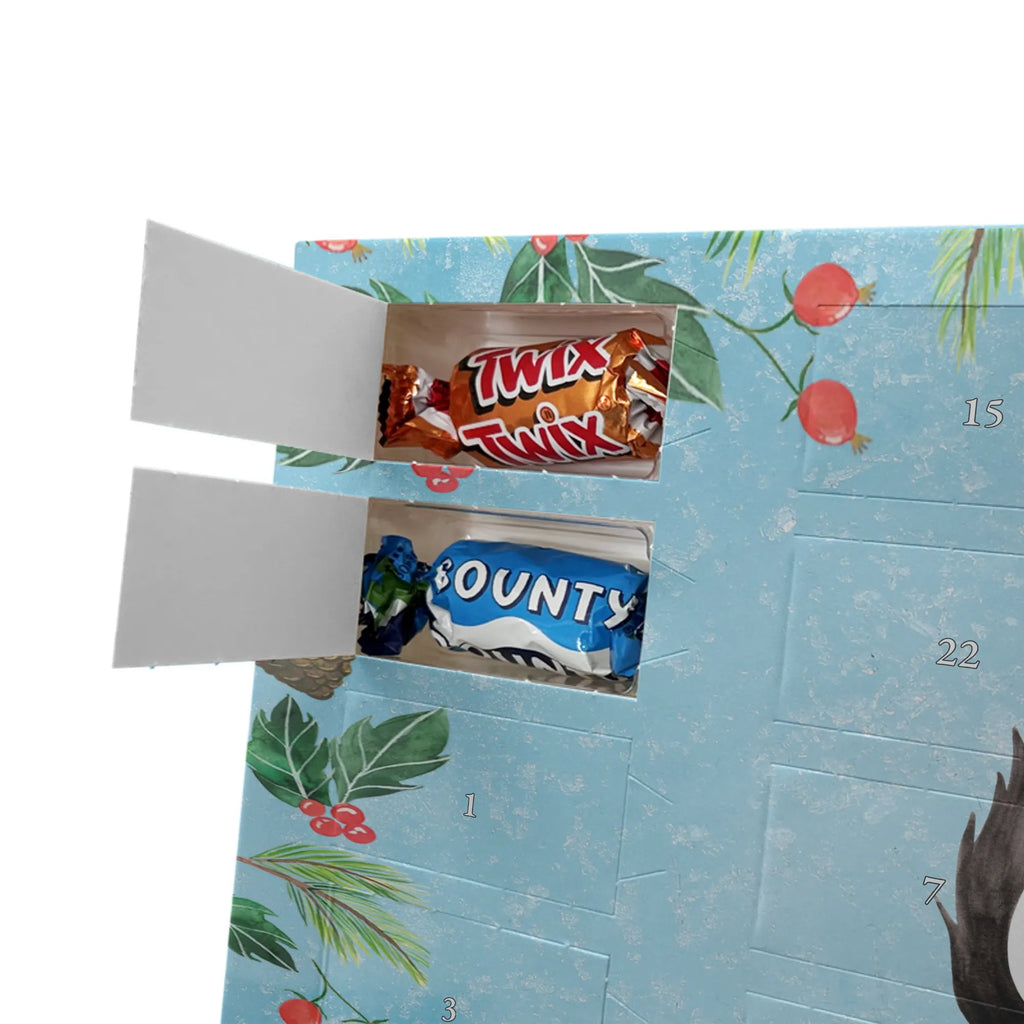 Chocolate advent calendar skunk Girl Laugh, Predator, Wild animal, Stinky, Live