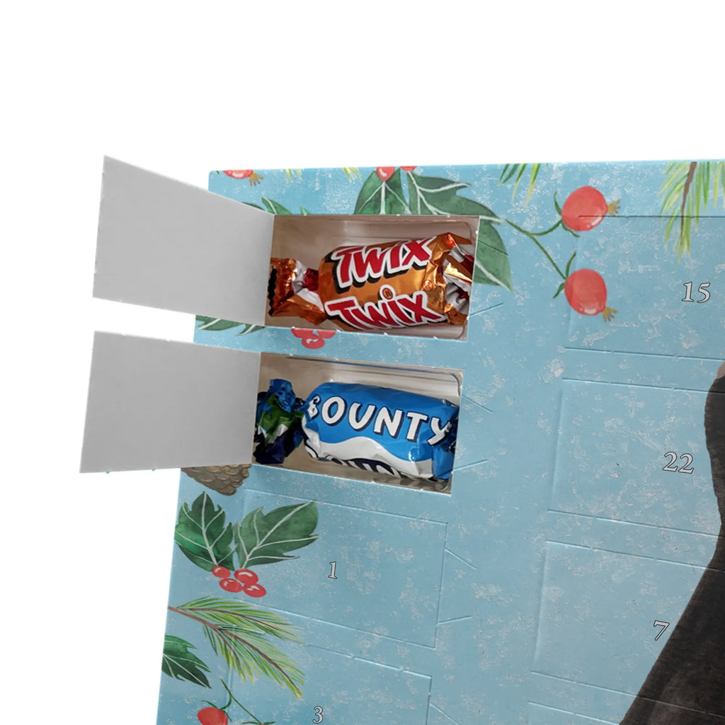 Chocolate advent calendar skunk Sit stinky, law, know-it-all, wild animal, predator