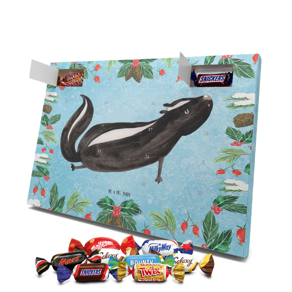 Chocolate advent calendar skunk yoga Stinky, Predator, Live, Wild animal, Laugh