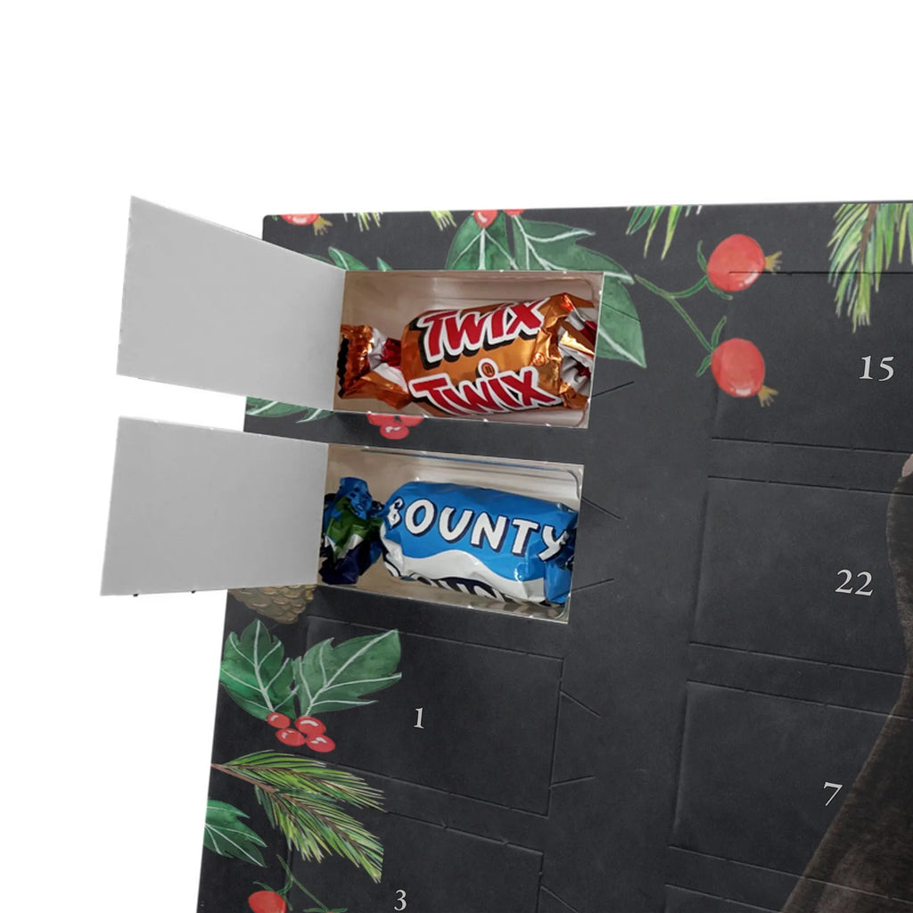 Chocolate advent calendar skunk Sit stinky, law, know-it-all, wild animal, predator