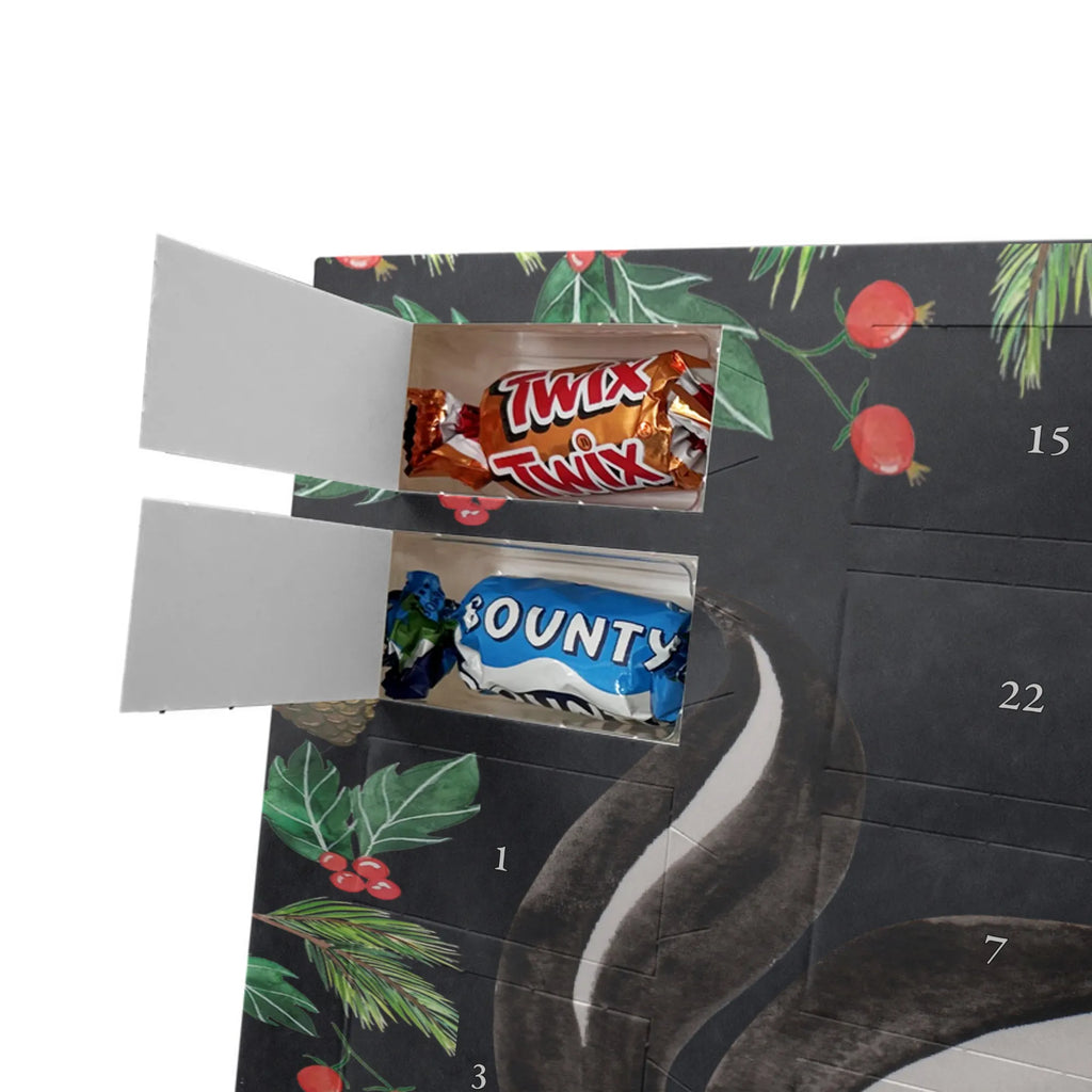 Chocolate advent calendar skunk yoga Stinky, Predator, Live, Wild animal, Laugh