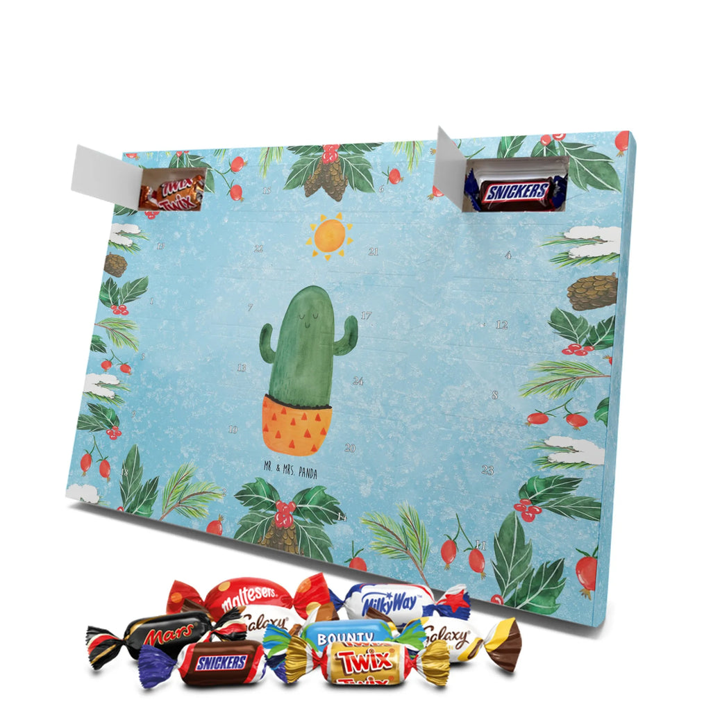 Chocolate advent calendar cactus Sun cactus, cactuses, plants, small green cactus, cactus plant, lovesickness, new start, gift idea, sun, lovesickness gift, divorce, girlfriend, adultery, separation, love cactus love