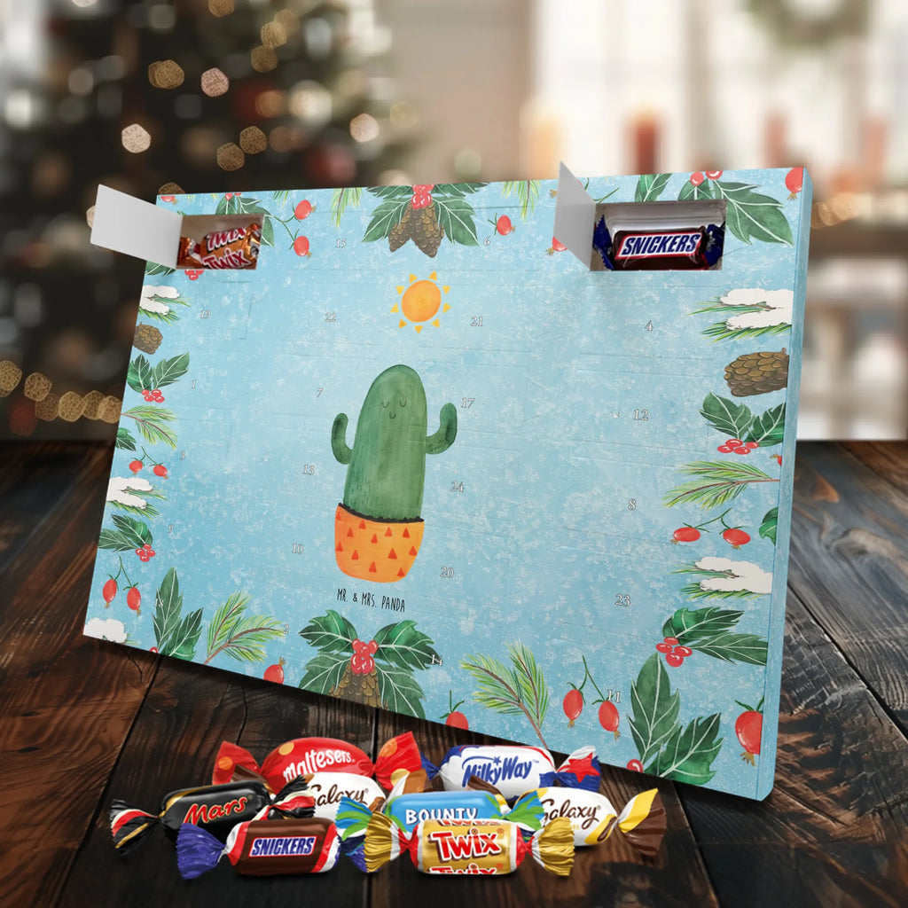 Chocolate advent calendar cactus Sun cactus, cactuses, plants, small green cactus, cactus plant, lovesickness, new start, gift idea, sun, lovesickness gift, divorce, girlfriend, adultery, separation, love cactus love