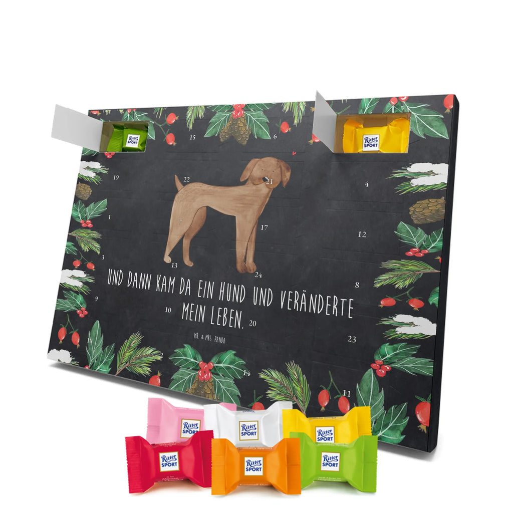 Chocolate advent calendar Dog mastiff mutt, dog sayings, love dogs, dog mama, funny gifts for dog owners, woof, what do you give a dog lover, dog breed, Christmas gifts for dogs, gifts for dogs, bag with dog print, love for dogs, hound, dog decorative items, Dogs