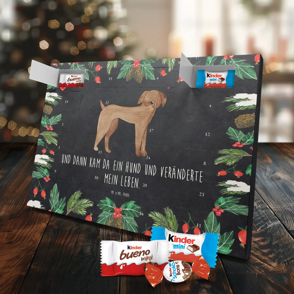 Chocolate advent calendar Dog mastiff mutt, dog sayings, love dogs, dog mama, funny gifts for dog owners, woof, what do you give a dog lover, dog breed, Christmas gifts for dogs, gifts for dogs, bag with dog print, love for dogs, hound, dog decorative items, Dogs