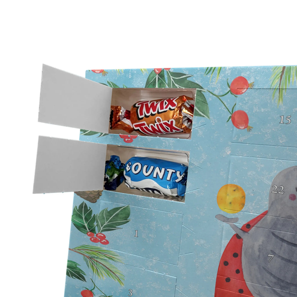 Chocolate advent calendar Star sign twin birthdays, astrology, date of birth, month of birth, constellations, twin gift, gift june, birthday may, twins, twin sister, twin brother, ladybird, gift may, lucky beetle, twin zodiac sign