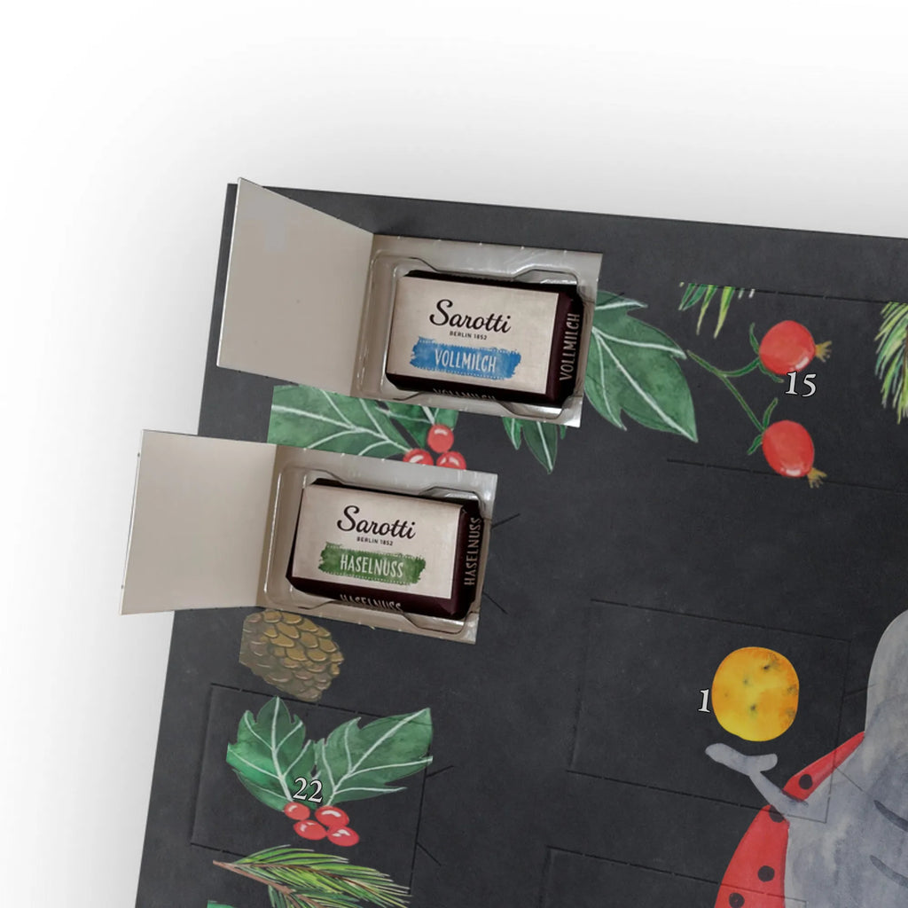 Chocolate advent calendar Star sign twin birthdays, astrology, date of birth, month of birth, constellations, twin gift, gift june, birthday may, twins, twin sister, twin brother, ladybird, gift may, lucky beetle, twin zodiac sign