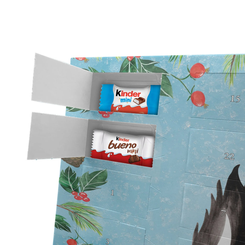 Chocolate advent calendar skunk Girl Laugh, Predator, Wild animal, Stinky, Live