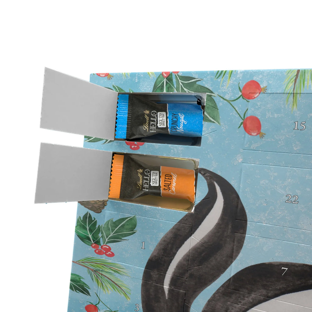 Chocolate advent calendar skunk yoga Stinky, Predator, Live, Wild animal, Laugh